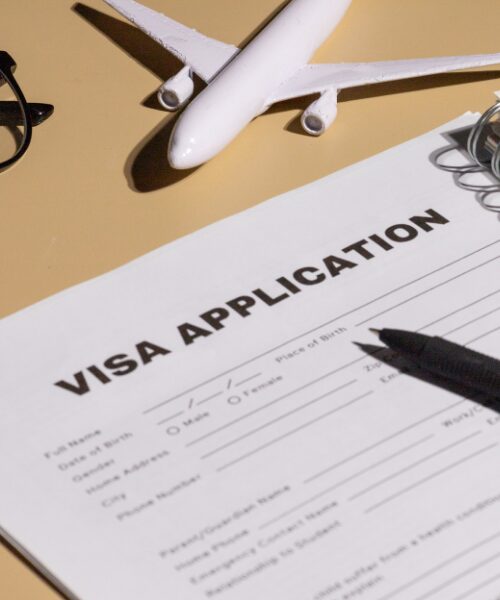 visa process law